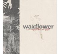 Waxflower - We Might Be Alright