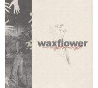 Waxflower We Might Be Alright (CD) EP (Importación USA)
