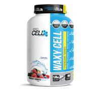 WaxyCell | Pre entreno y Recuperador a Base de Hidratos de Carbono de Rápida Absorción (1.8kg / 48 servicios) - Sabor Frutos del Bosque - Preworkout y Recuperador Muscular Post Entrenamiento