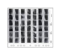 Wayfadacc Hojas de almacenamiento de archivos 135/120/45 páginas de almacenamiento de película negativa, carpeta de negativos, álbum de películas