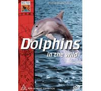 Wayne Abraham - Dolphins in the Wild [USA] [DVD]