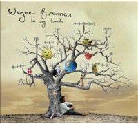 Wayne Brennan - In My Hands