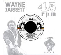 Wayne Jarrett - Love In A Mi Heart [Vinilo]
