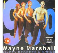 Wayne Marshall - 90 Degrees & Rising