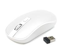 Waytex 65421 - Ratón inalámbrico de 2,4 GHz para Ordenador con Nano Receptor USB y sensibilidad Ajustable hasta 1600 dpi Alcance de señal de hasta 10 m, tecnología óptica, Color Blanco