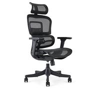Waytex Draconis - Silla de Oficina ergonómica, Silla de Oficina de Malla Transpirable, apoyabrazos Ajustables 3D, reposacabezas Ajustable, Soporte Lumbar Ultra cómodo, Color Negro