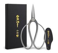 Wazakura Japan Tijeras de Podar Bonsái Edición Ishihara-sensei - Acero Inoxidable Yasugi (180 mm), Herramienta de Jardinería Japonesa, Hecha en Japón