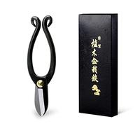 Wazakura Tijeras Japonesas Profesionales Ikenobo - Acero al carbono 165mm, Hechas en Japón, Para Ikebana y Arreglos Florales