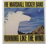 WB56621 LP Running Like The Wind VINYL