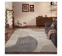 WBBML Alfombraoficina No Suelta Pelo Rug For Indoor and Outdoor Tapetes Puerta Principal Comedor(C,200x350cm/6.56x11.48ft)
