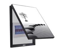 WBBML Pintura Decorativa Caja de Contadores Marco Negro Cuadro para Tapar Cuadro Electrico Pintura Colgante Sala de Estar(B,45x55cm)