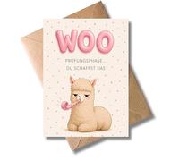 WBdesignz Bonita tarjeta de motivación para las fases de exámenes con sobre, puedes hacerlo con alpaca, exámenes, exámenes, formación de estudios de secundaria, educación, mucho éxito, estudiantes