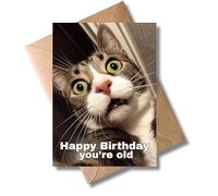 WBdesignz Divertida tarjeta de cumpleaños con sobre - Happy Birthday you're old - Divertida tarjeta de felicitación con gato - Tarjeta de felicitación con animal para mujeres, hombres, colegas, amigos