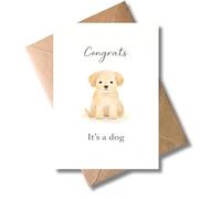 WBdesignz Tarjeta de felicitación para perros con sobre para inauguración de la casa de perro, Congrats It's a dog - Tarjeta de felicitación minimalista para nuevos dueños de perros, dueños de