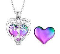 WBDWWTD TQHGHX Collar de urna de cremación con Forma de corazón Que se Puede Abrir para Cenizas, Colgante de Ceniza Conmemorativa de Acero Inoxidable, joyería de Recuerdo, joyería de cremación para