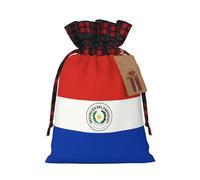 WBQLSL 8.3 bolsas de regalo de arpillera de 11.8 pulgadas, bolsas de decoración de suministros de fiesta de Navidad, bolsas de decoración de bandera de Paraguay, bolsas de regalo de Navidad con cordón