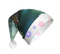 WBQLSL Little Bridge in the East - Sombrero de Papá Noel con luz LED, unisex, para Navidad, Año Nuevo, regalo de fiesta de Navidad