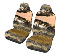 WBQLSL Protector de asiento de coche Africa Grassland Zebra (paquete de 2) - Fundas de asiento universales para sedán, SUV, camión, furgoneta, autobús y ferry