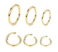 WBRWP Piercing de acero inoxidable 316L con bisagras, aro para la nariz: 20 G, 18 G, 16 G, 14 G, para mujeres y hombres, anillo de segmento para labio, hélice, cartílago, rook, diámetro de 6 mm, 8 mm