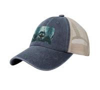 WCXTHGFA Gorra de béisbol de malla transpirable con estampado de tiburón, perfecta para actividades al aire libre y deportes, azul marino, Talla única