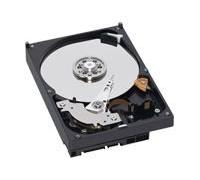 WD Caviar Blue WD6400AAKS - Disco duro - 640 GB - interno - 8.9 cm - SATA-300 - 7200 rpm - búfer: 16 MB