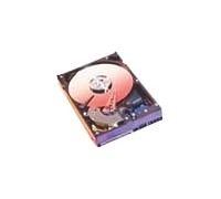WD Caviar Blue WD800JD - Disco Duro - 80 GB - Interno - 3.5 "- SATA-150-7200 RPM - búfer: 8 MB