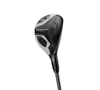 WD RH QTM MAX OS 4H DEN SLV 70 GR STF