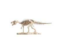 wD7rE5bm6z Desktop Decor Escultura de Esqueleto Tiranosaurio Rex Realista, decoración fósil Dinosaurio Resina, Figura Coleccionable educativa