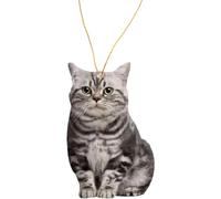 Wdbild Adorno de gota de acrílico para cachorros, decoración colgante de juguete, regalo para coche, visión trasera de coche, decoración interior para mascotas, decoración interior para perro