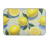 WDdZzyy Pintura al óleo con limón amarillo, manta refrescante de animales de verano para gatos de interior para conejos, exteriores, esterilla suave refrescante para Perros, M