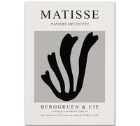 WDHBI HEKA Henri Matisse - Pósteres de hojas de coral, arte de pared, impresión de fauvismo, lienzo de Matisse, cuadro abstracto retro para decoración de sala de estar, 50 x 70 cm, sin marco