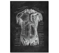 WDHBI HEKA Póster de estructura de cuerpo humano, impresiones de estructura de cuerpo humano, cuadro moderno en lienzo, estructura de cuerpo humano, arte de pared, decoración del hogar, imagen 20 x 30