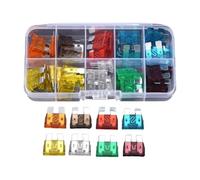 WDJRUIRUI 100 Piezas Fusibles de Cuchilla Automotrices para Seat Leon ST XCELLENCE AB Bj.2020