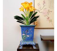 WDSOPK Macetas De Cerámica Jingdezhen para Suculentas,Macetas Cuadradas De Cerámica Estilo Chinoiserie para Plantas De Interior Y Exterior,Florero Decorativo De Cerá(B)