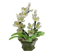 WDSOPK Plantas artificiales, árbol bonsái falso, jade, orquídea, bonsái, bonsái artificial, exhibición de escritorio, decoración de jardín zen, planta de interior para decoración del hogar, oficina