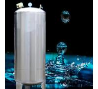 WDSOPK Tanque De Presión De Acero Inoxidable De 15, 25, 40, 50, 65, 80, 100, 130 Y 185 Galones, Tanques Verticales De Almacenamiento De Agua A Presión, Tanque De Presi(300L/79,2Gal)