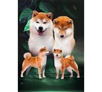 WDZFF Rompecabezas 1000 Piezas - Póster - Rompecabezas Art Picture - Japan Akita-Inu Dog - Family's Educational Toys - Juegos De Memoria Y Cognición para Personas Mayores Gifts - Jx219Zp