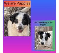 We are Puppies! / I am Piggy Wiggy of the Wiggies