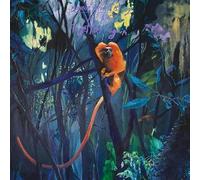 Bonnie Prince Billy - We Are Together Again (Clear Coloured) (LP)