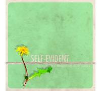 We Built a Fortress on Short N