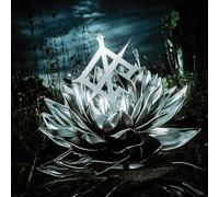 We Came As Romans - We Came As Romans - Darkbloom (LP) Curaçao [Vinilo]