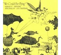 We Could Be Flying [Vinilo]