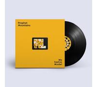 We Had No Model [Vinilo]