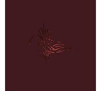 We Like We - Next to the Entire All [Vinilo]