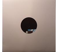 We Make Beginnings [Vinilo]