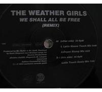 We shall all be free (Remix, 1994) / Vinyl Maxi Single [Vinyl 12'']