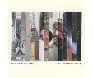 We Used to Be Tourists - The Benefit of Doubt [Vinilo]