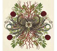 We Will Fail - Verstorung 2.0 [Vinilo]