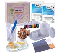 Wealike Juego de iniciación de polvo de fundición, juego de polvos de fundición de cerámica para adultos, incluye polvo de fundición blanco, 1360 g, moldes de silicona, colores básicos, papel de lija,
