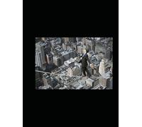 WEARING ALL THE HATS: A PROGRAM MANAGER’S GUIDE TO ENTERPRISE TRANSFORMATION (The Reality-Based Transformation)